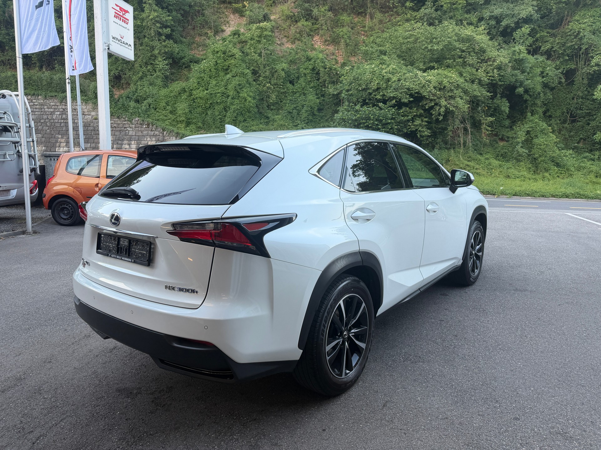 LEXUS NX 300h excellence E-Four Automatic-image-4