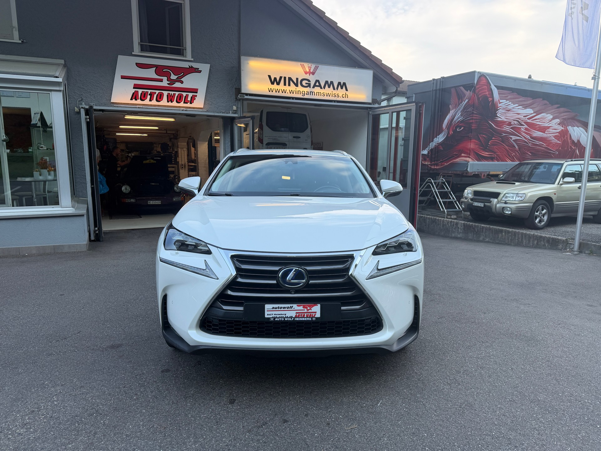 LEXUS NX 300h excellence E-Four Automatic-image-7