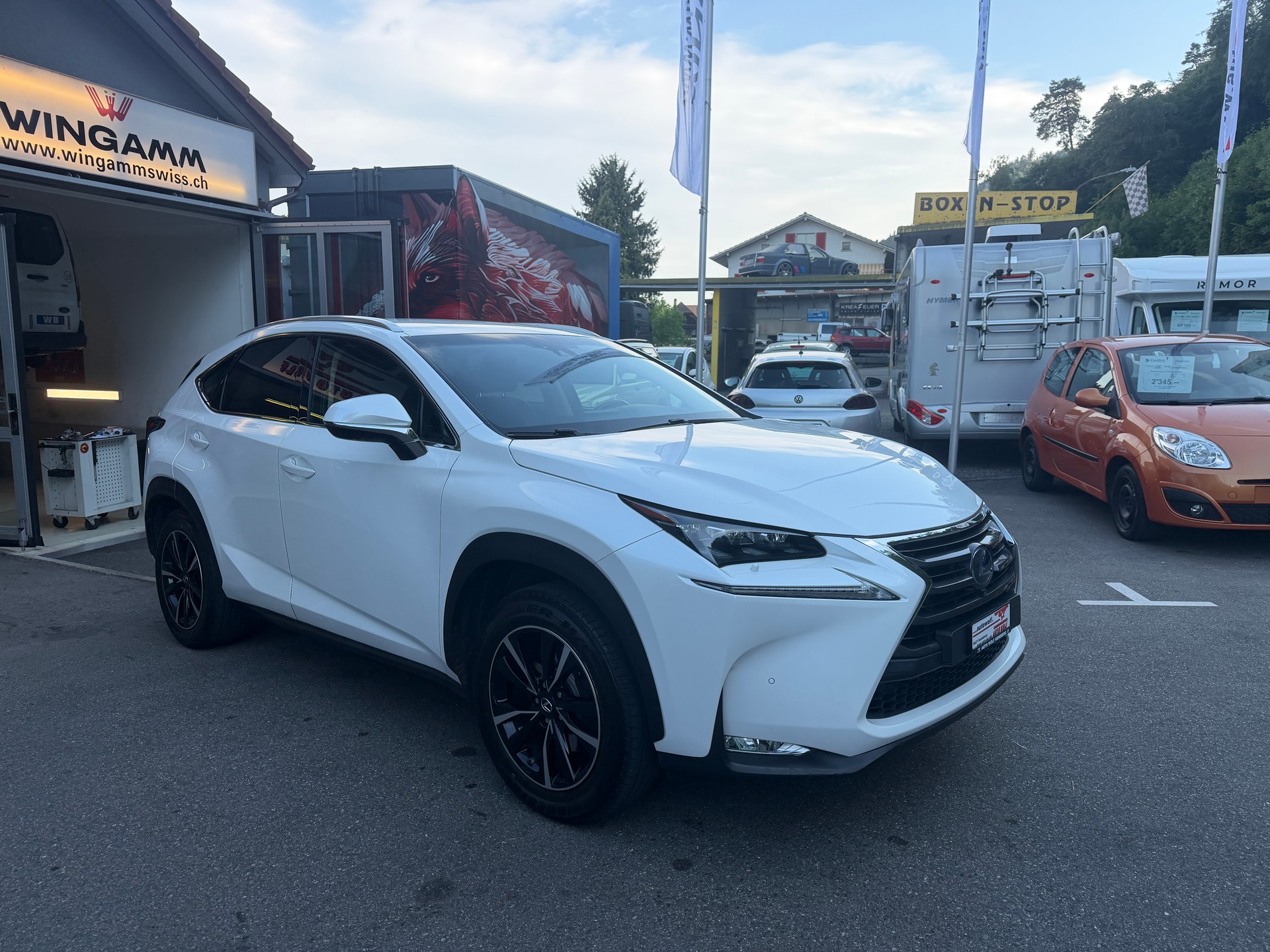 LEXUS NX 300h excellence E-Four Automatic-image-6