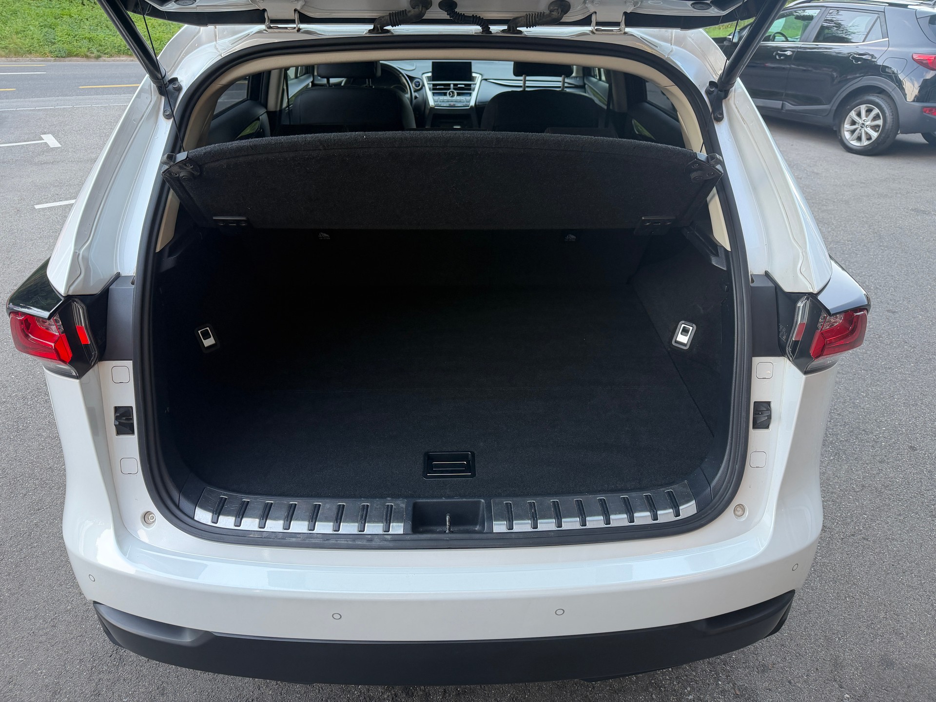 LEXUS NX 300h excellence E-Four Automatic-image-13
