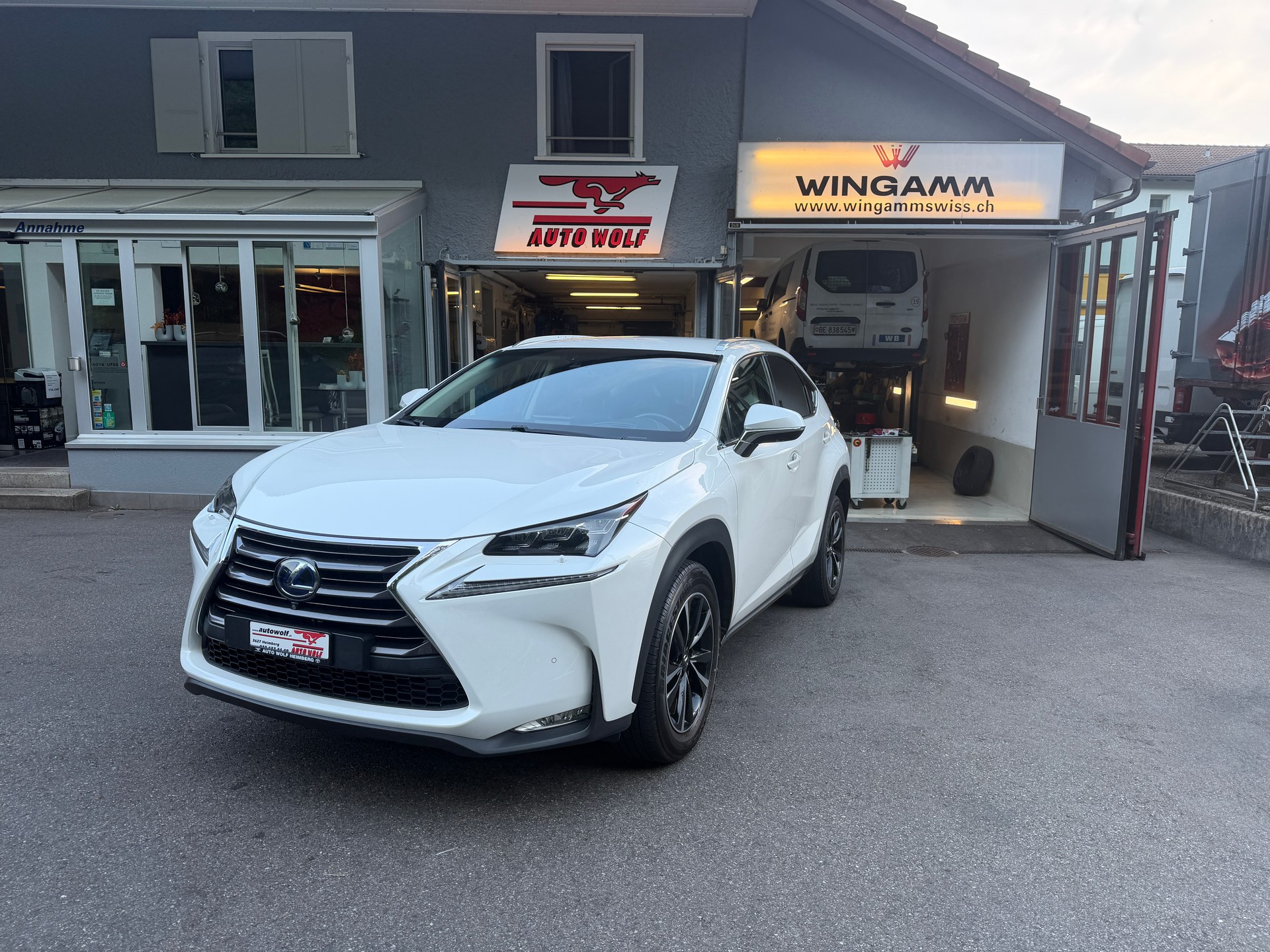 LEXUS NX 300h excellence E-Four Automatic
