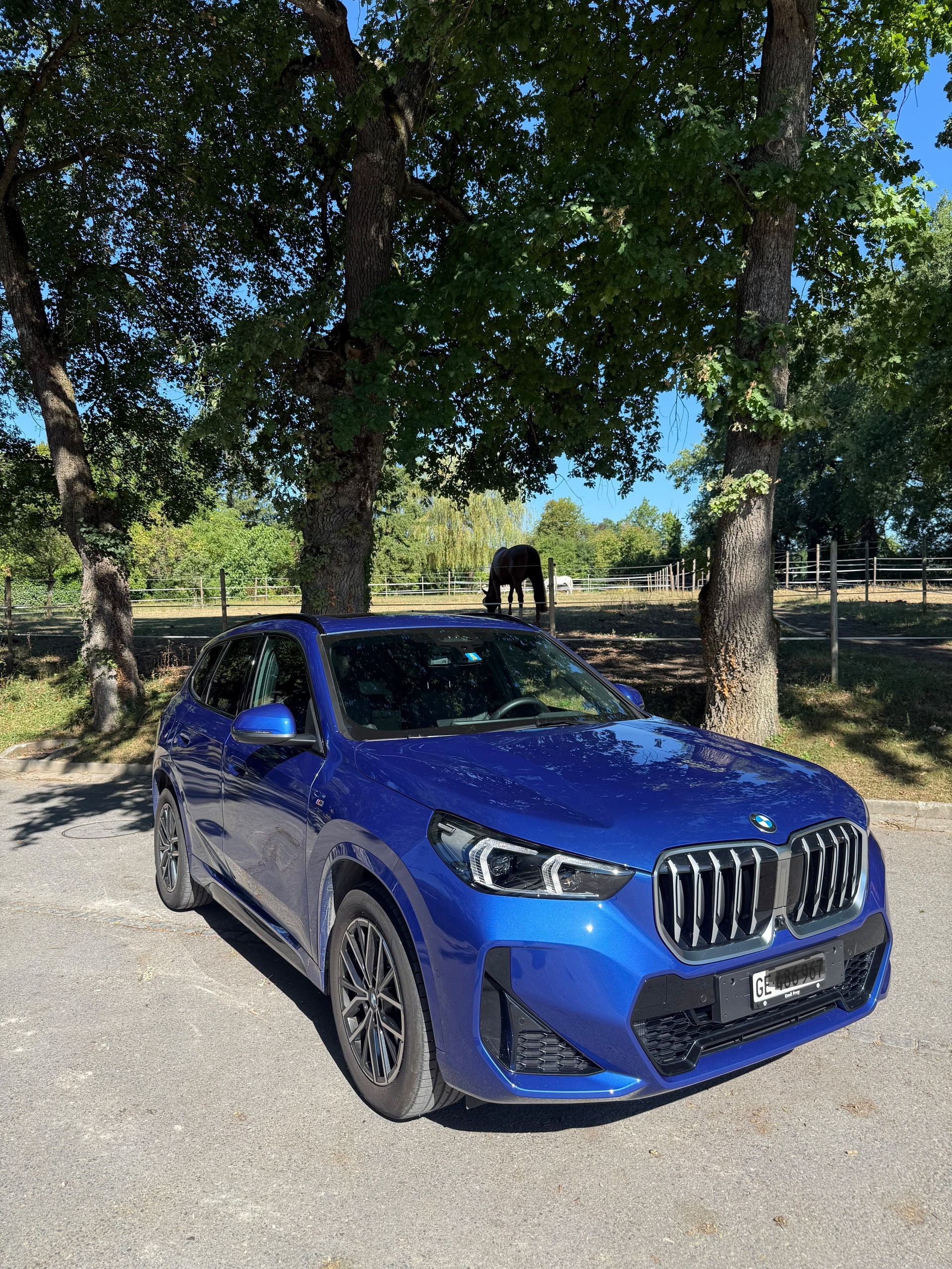BMW 23i xDrive paddles-image-3