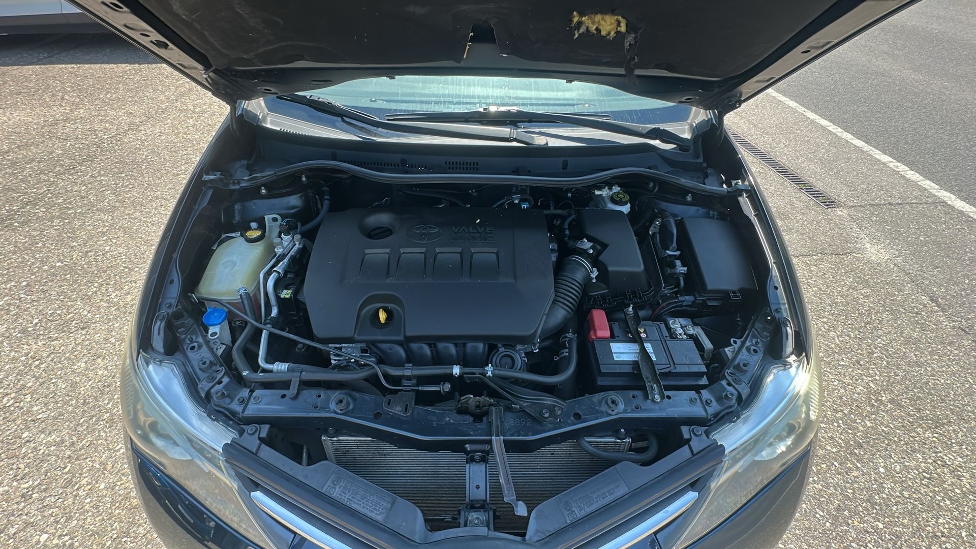 TOYOTA Auris 1.6 Luna-image-8