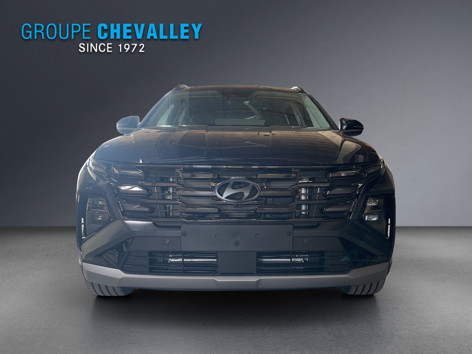 HYUNDAI Tucson 1.6 TGDI HEV Vertex 4WD-image-1