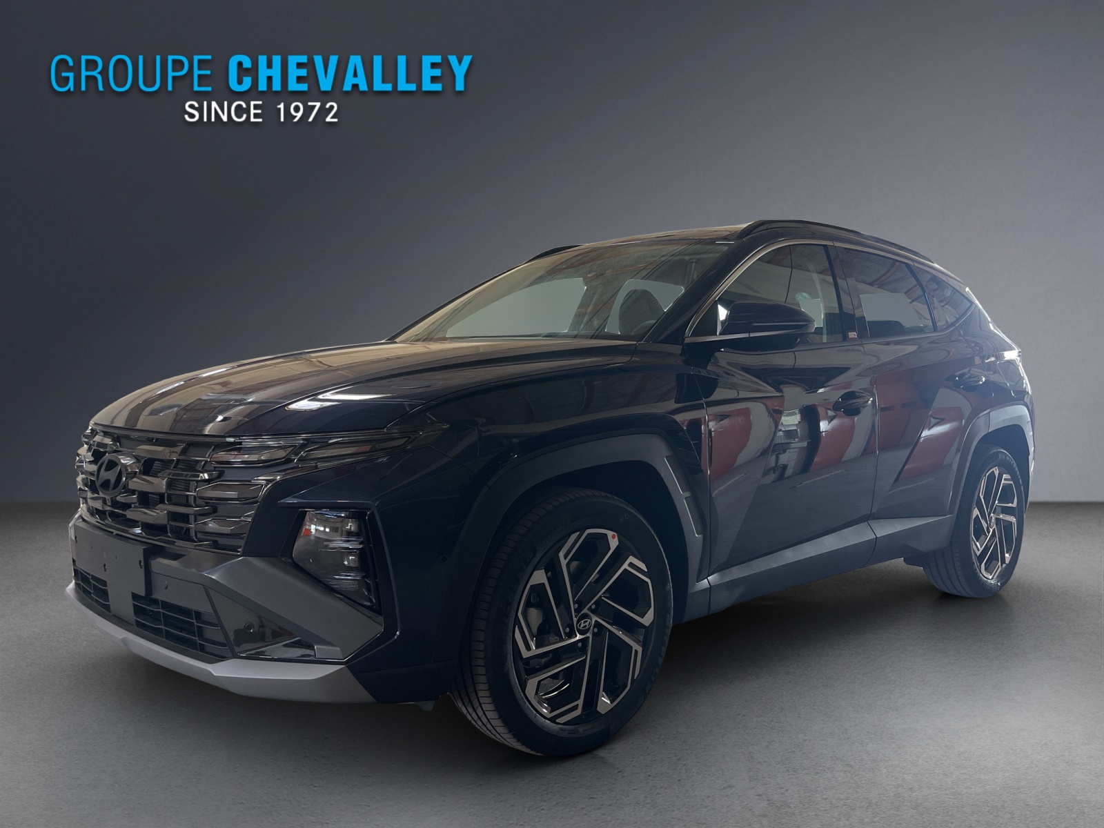 HYUNDAI Tucson 1.6 TGDI HEV Vertex 4WD