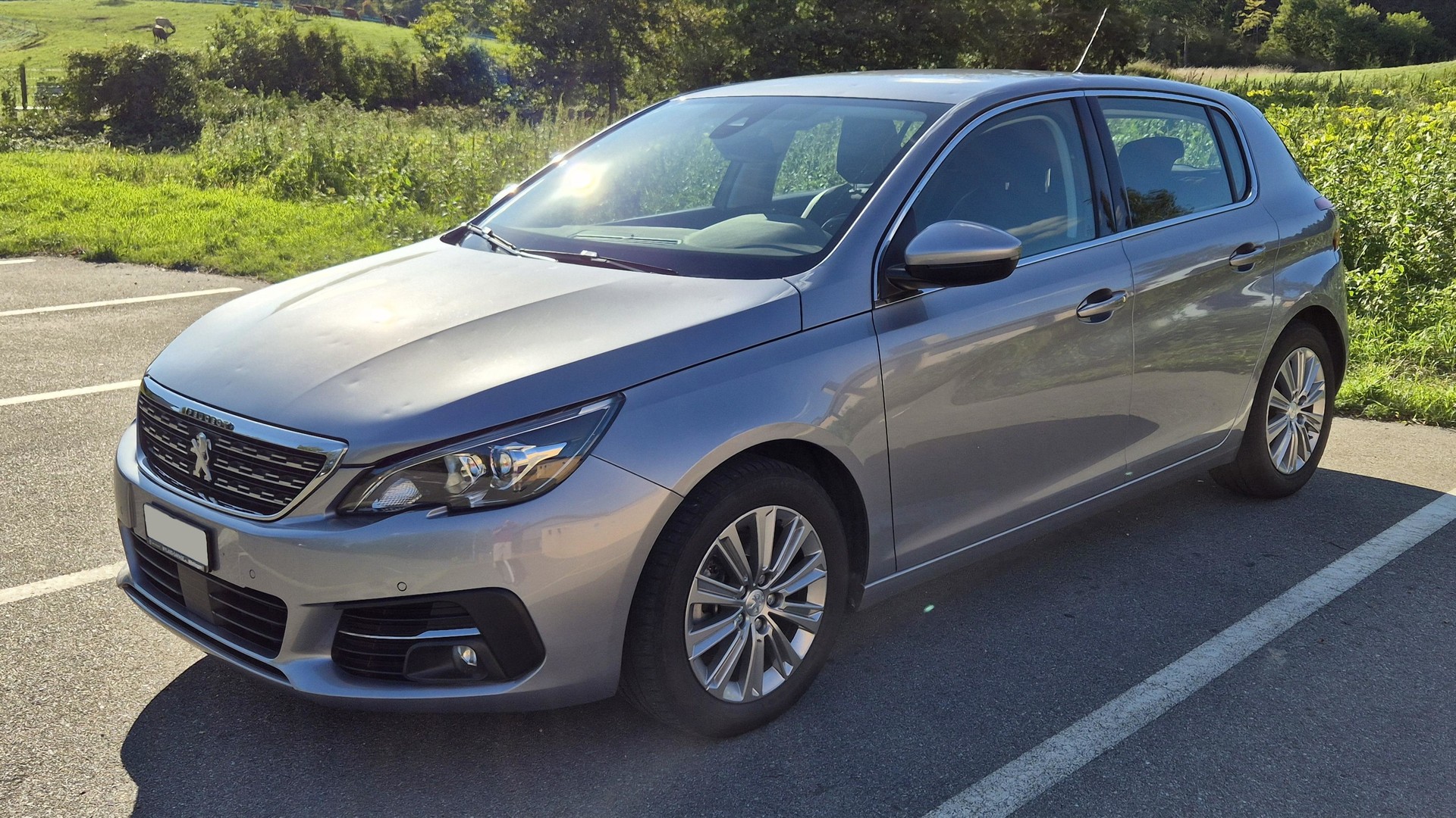 PEUGEOT 1.2 PureTech 130 Tech Edition S/S-image-0