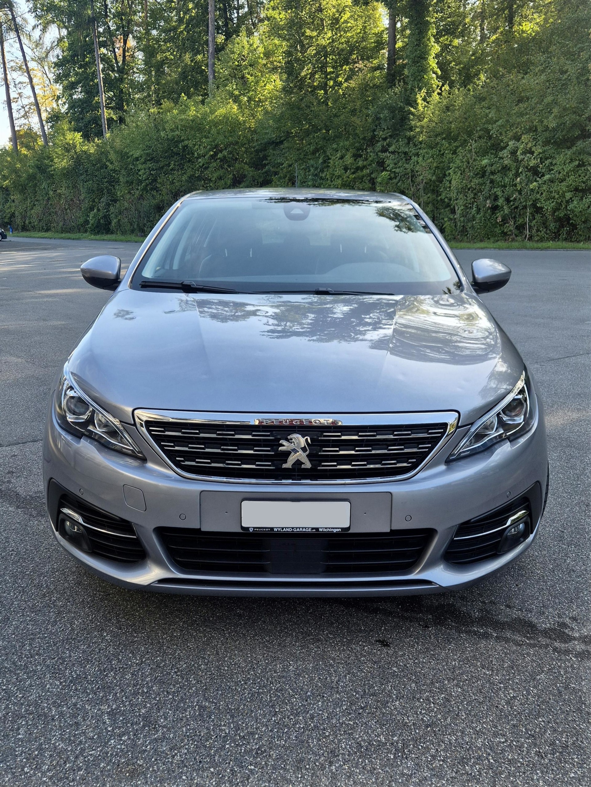 PEUGEOT 1.2 PureTech 130 Tech Edition S/S-image-1