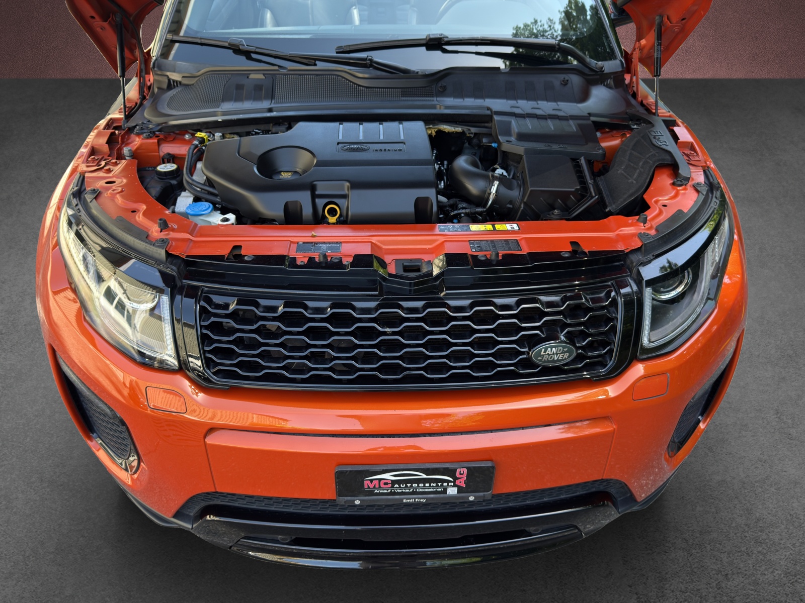 LAND ROVER Range Rover Evoque Conver. 2.0 TD4 HSE Dynamic AT9-image-13