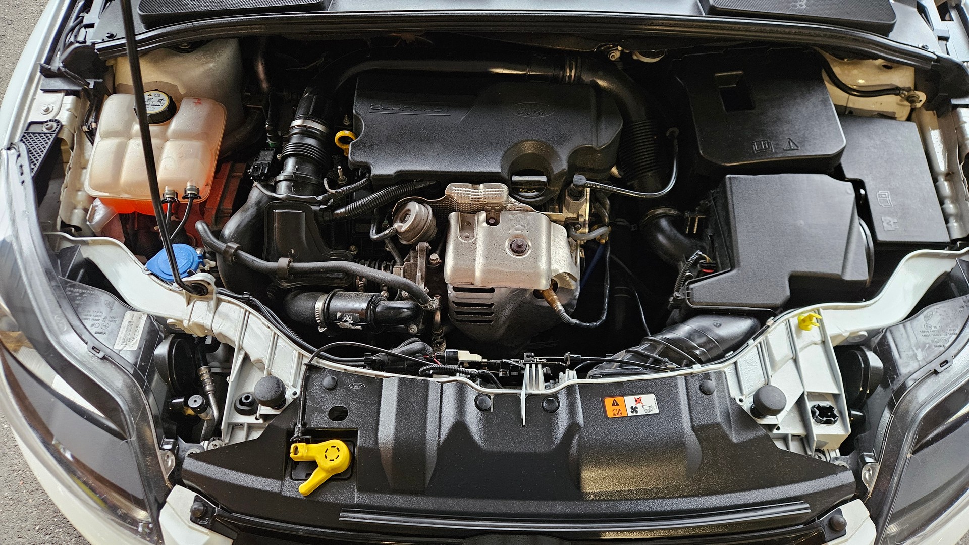 FORD Focus 1.0 SCTi Winner-image-9