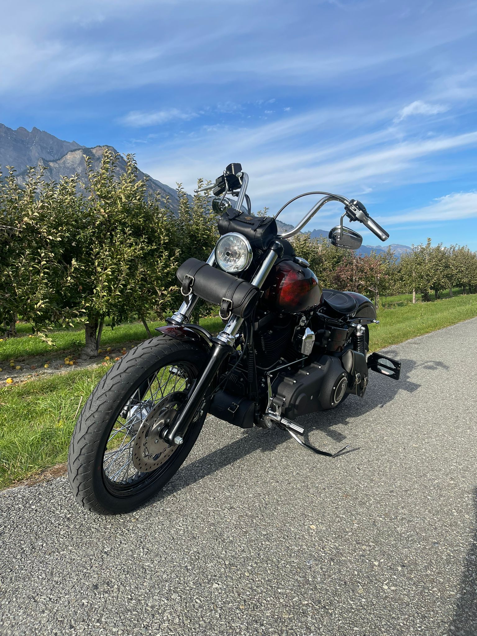 HARLEY-DAVIDSON FXDB Dyna Street Bob 103 ABS-image-2