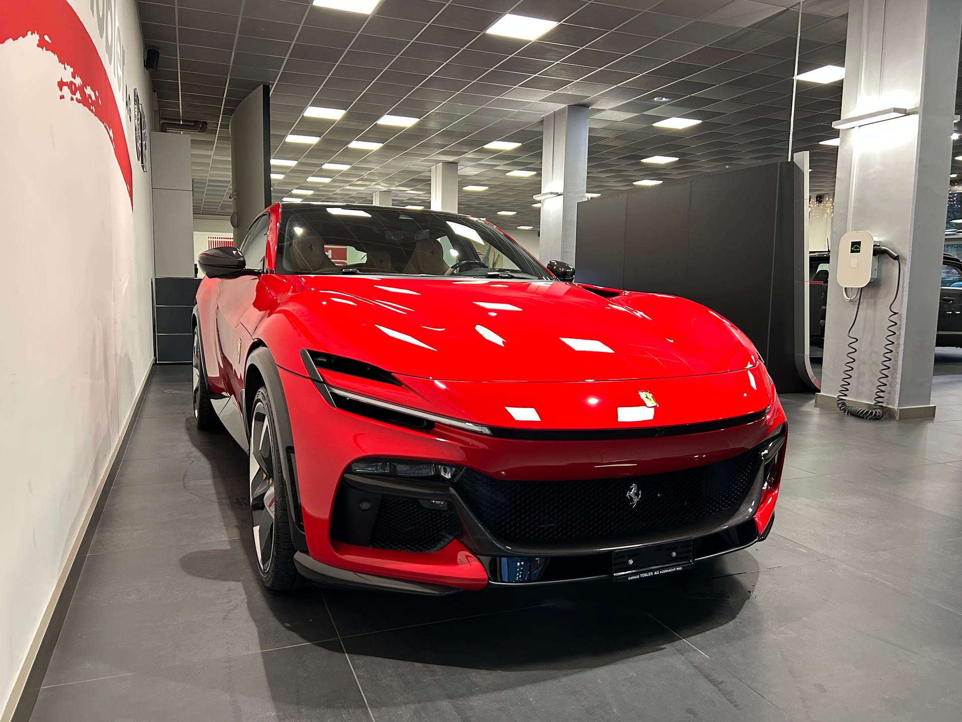 FERRARI PUROSANGUE For sale