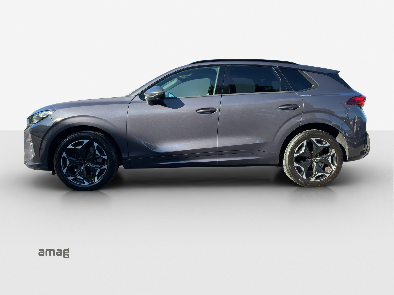 CUPRA Terramar 2.0 TSI DSG 4Drive VZ-image-1