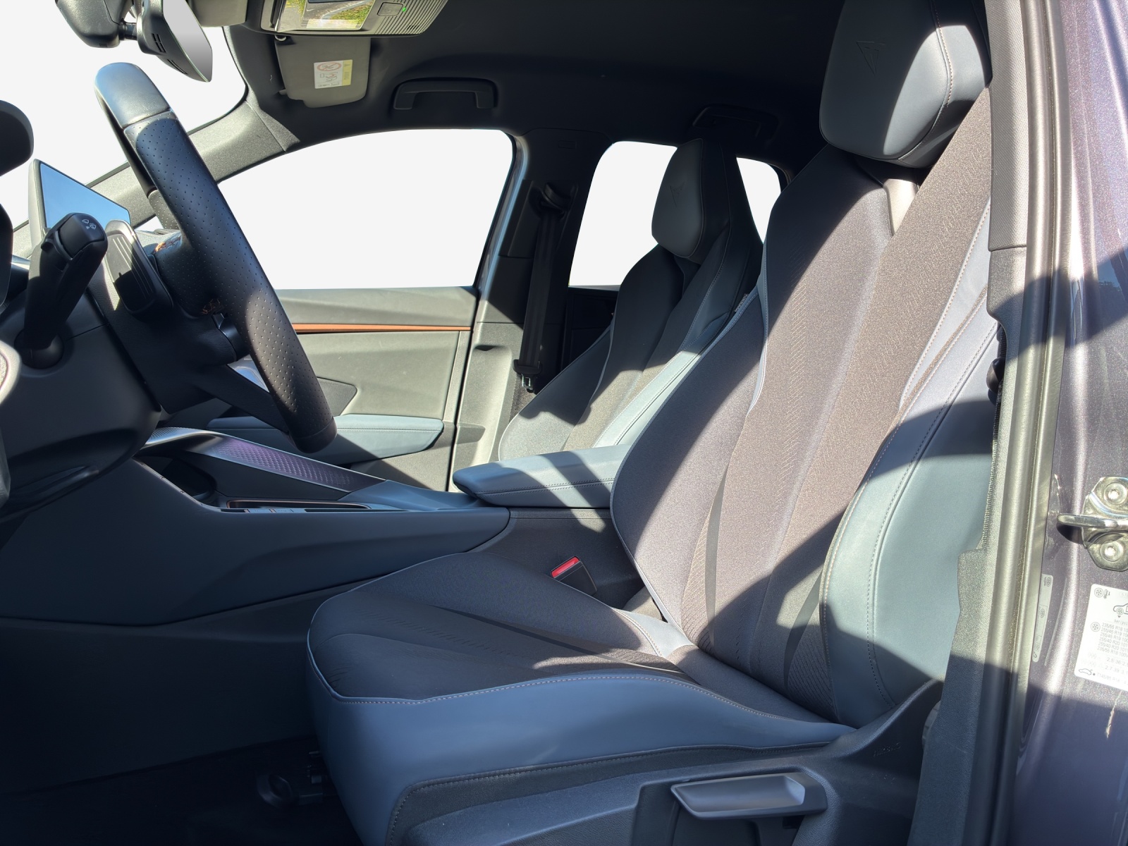 CUPRA Terramar 2.0 TSI DSG 4Drive VZ-image-7