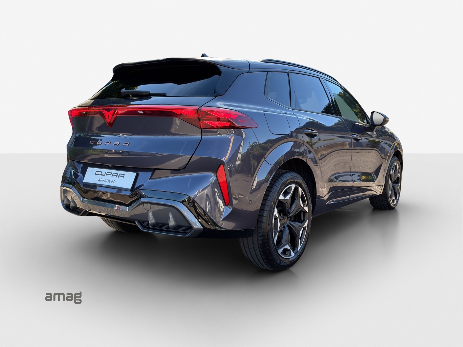 CUPRA Terramar 2.0 TSI DSG 4Drive VZ-image-4
