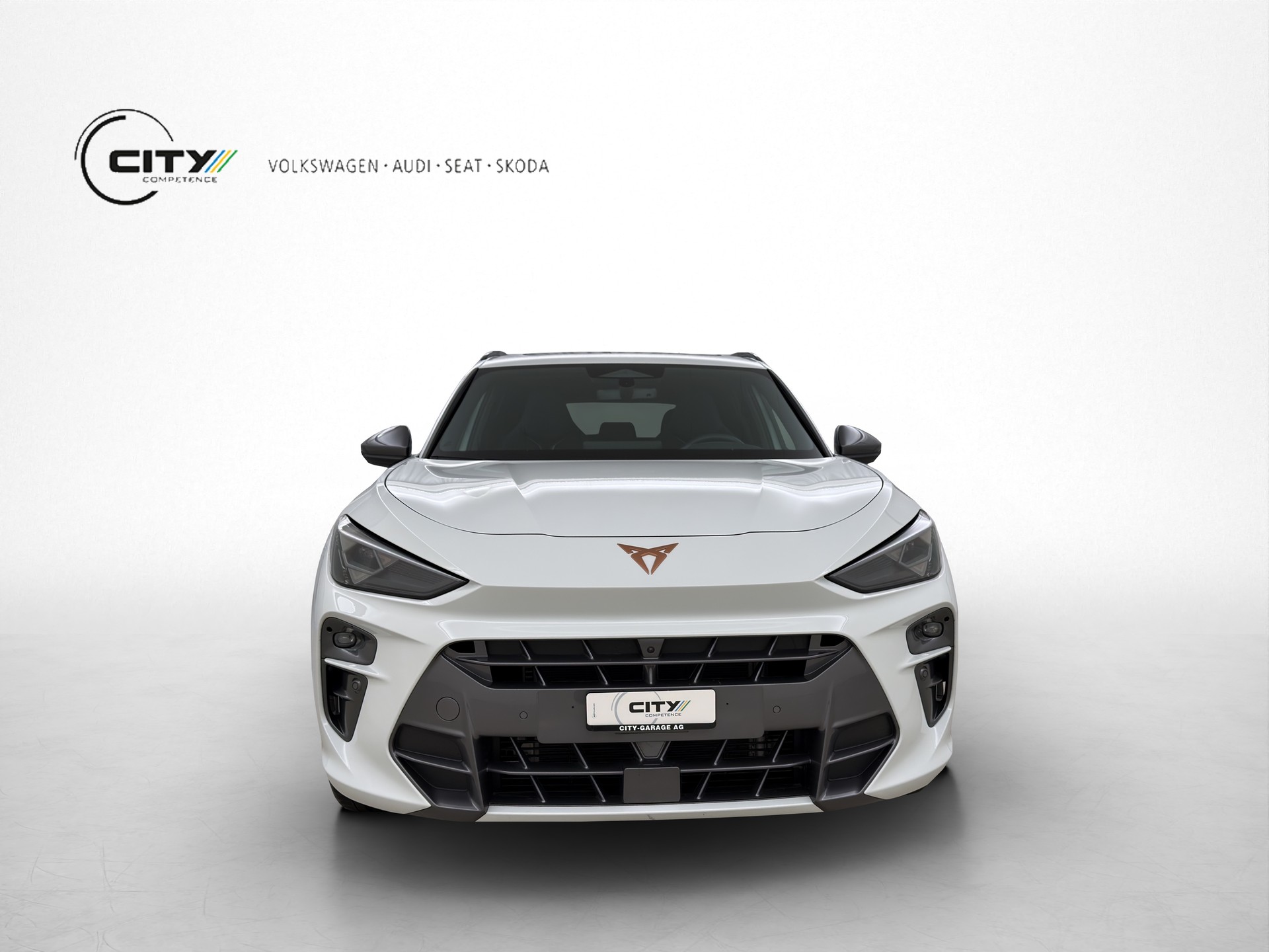 CUPRA Terramar 2.0 TSI VZ 4Drive DSG-image-0