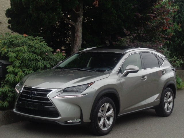 LEXUS NX 300h excellence E-Four Automatic-image-0