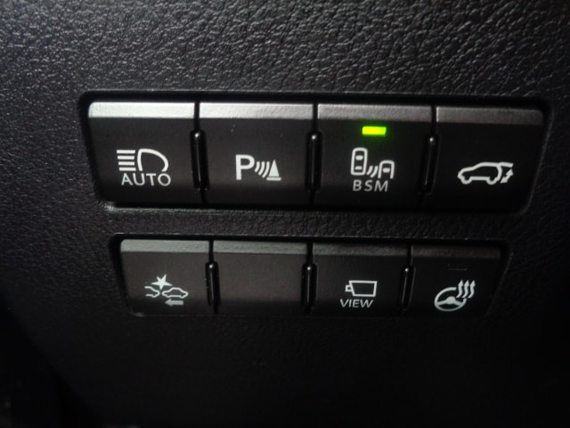 LEXUS NX 300h excellence E-Four Automatic-image-9