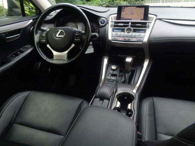 LEXUS NX 300h excellence E-Four Automatic-image-3