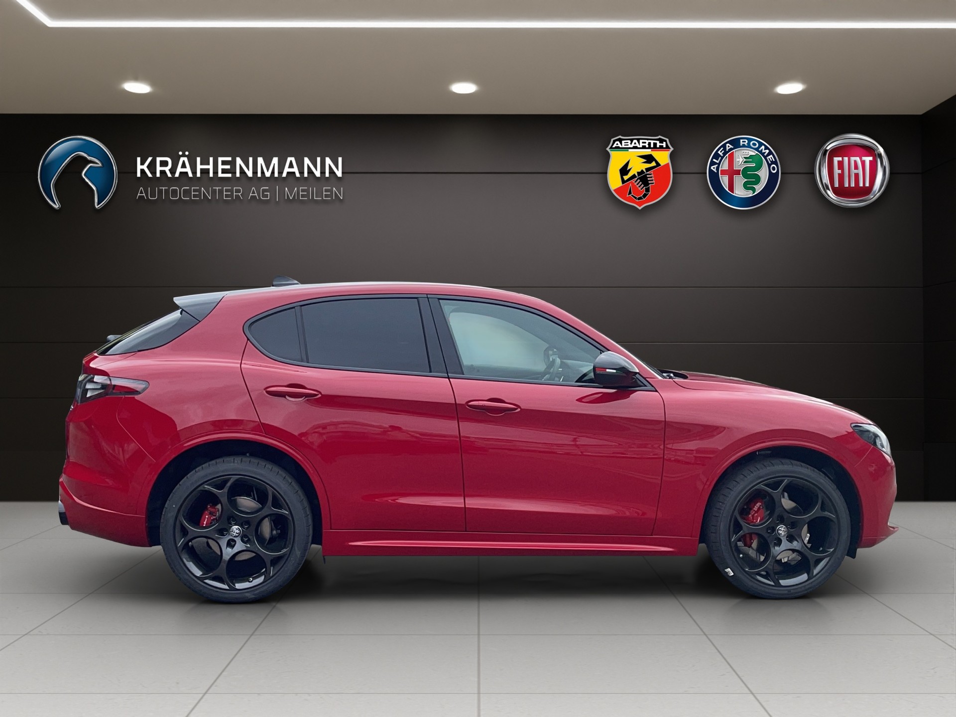 ALFA ROMEO Stelvio 2.0 Tributo Italian-image-5
