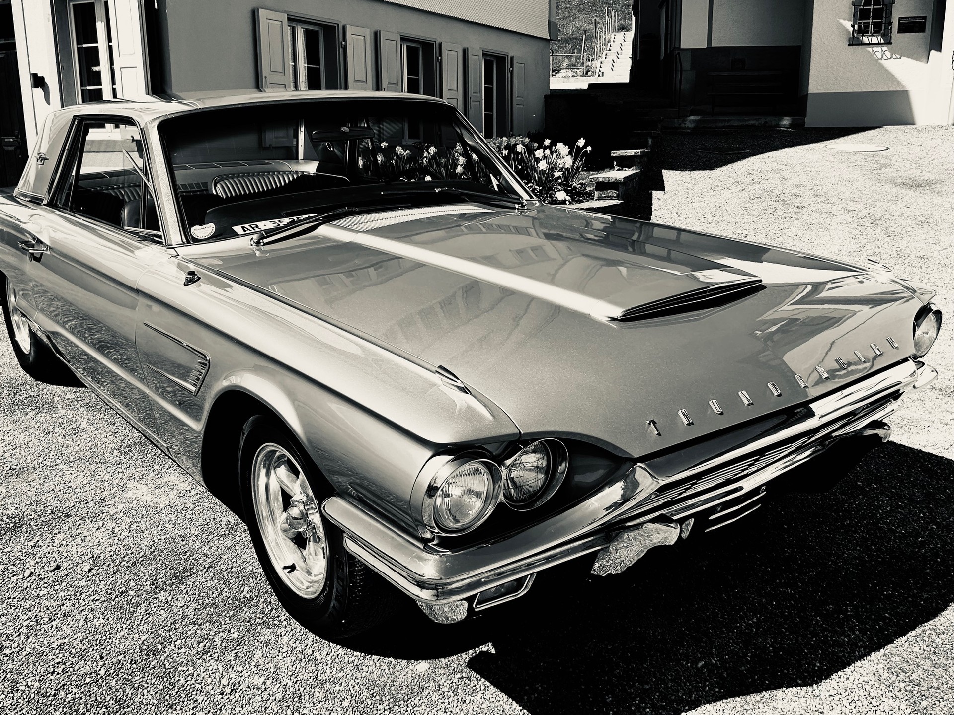 FORD Thunderbird-image-6