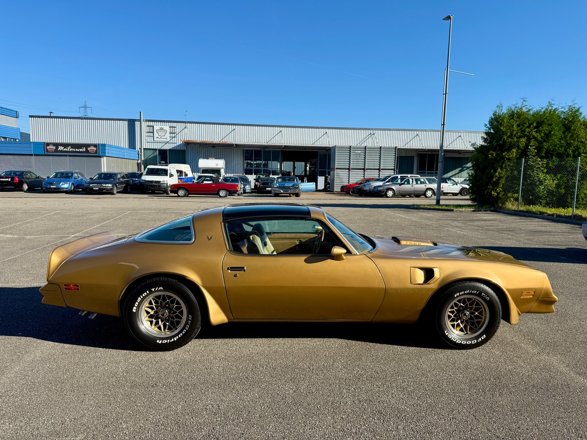PONTIAC Firebird Trans Am Y88-image-20