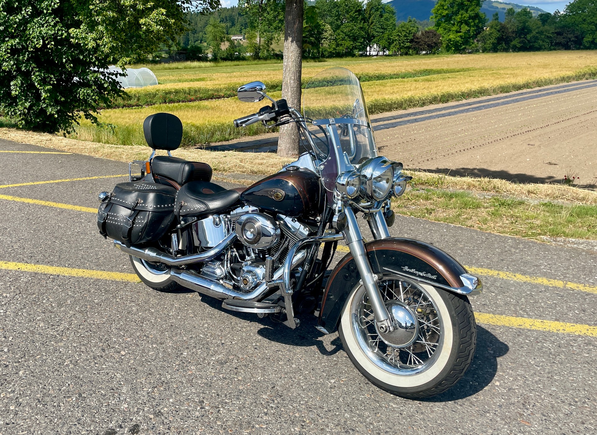 HARLEY-DAVIDSON FLSTC Softail Heritage Classic ABS Anniversasry-image-5