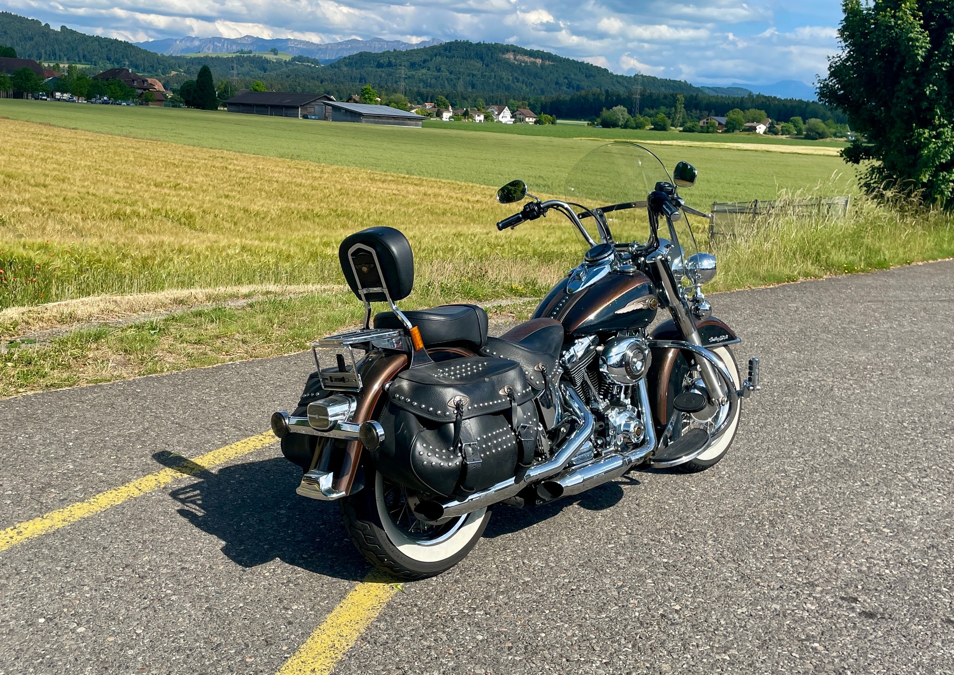 HARLEY-DAVIDSON FLSTC Softail Heritage Classic ABS Anniversasry-image-6
