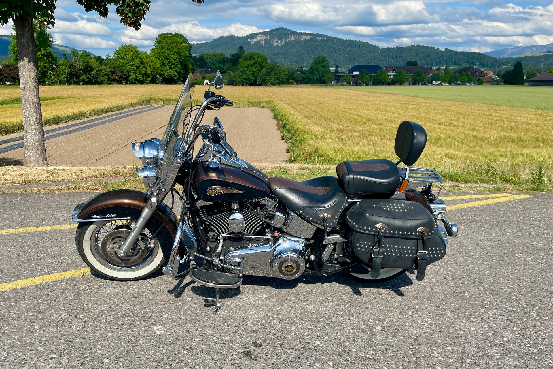 HARLEY-DAVIDSON FLSTC Softail Heritage Classic ABS Anniversasry-image-3