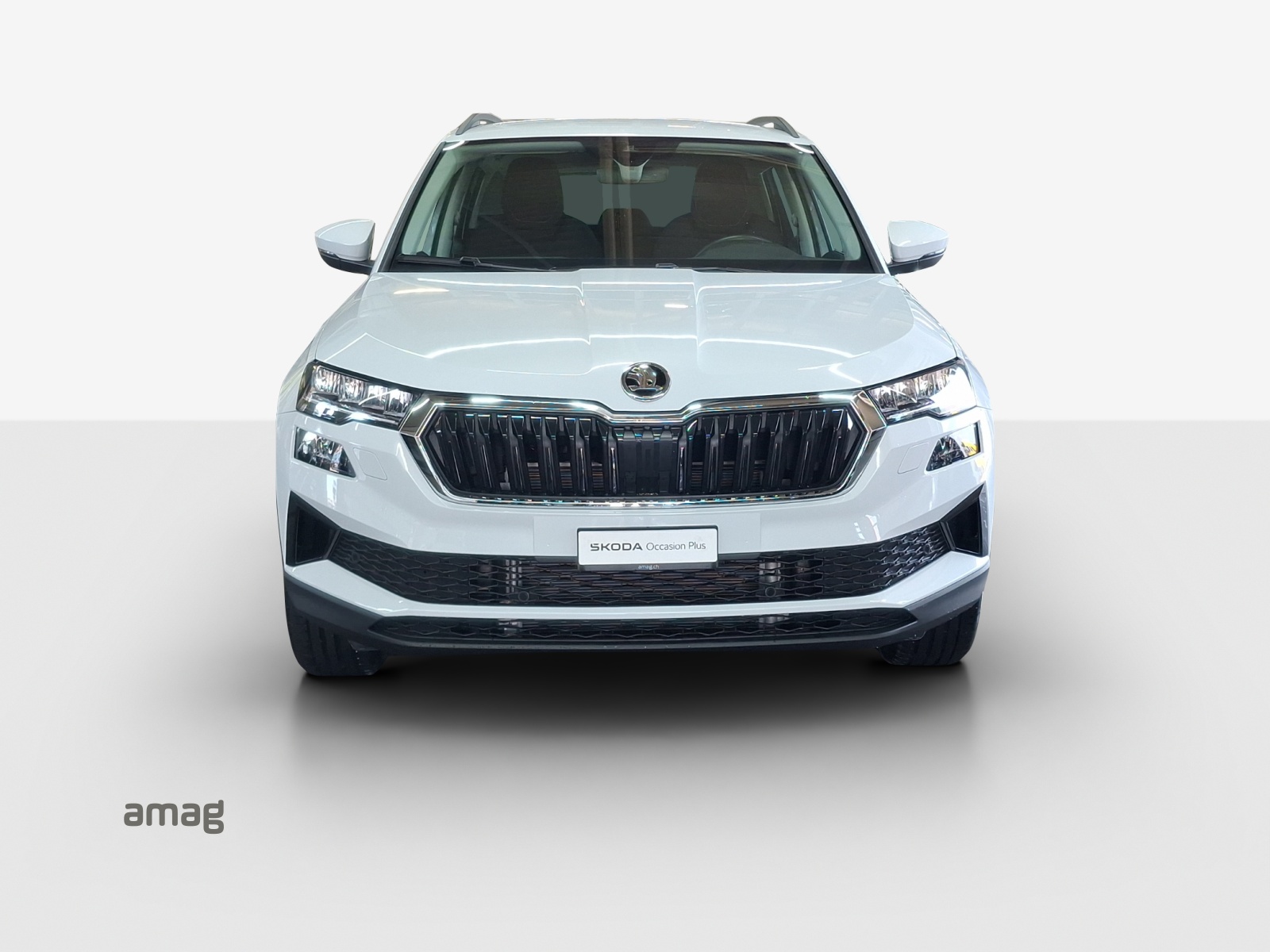 SKODA Karoq 2.0 TDI CR Selection 4x4 DSG-image-6