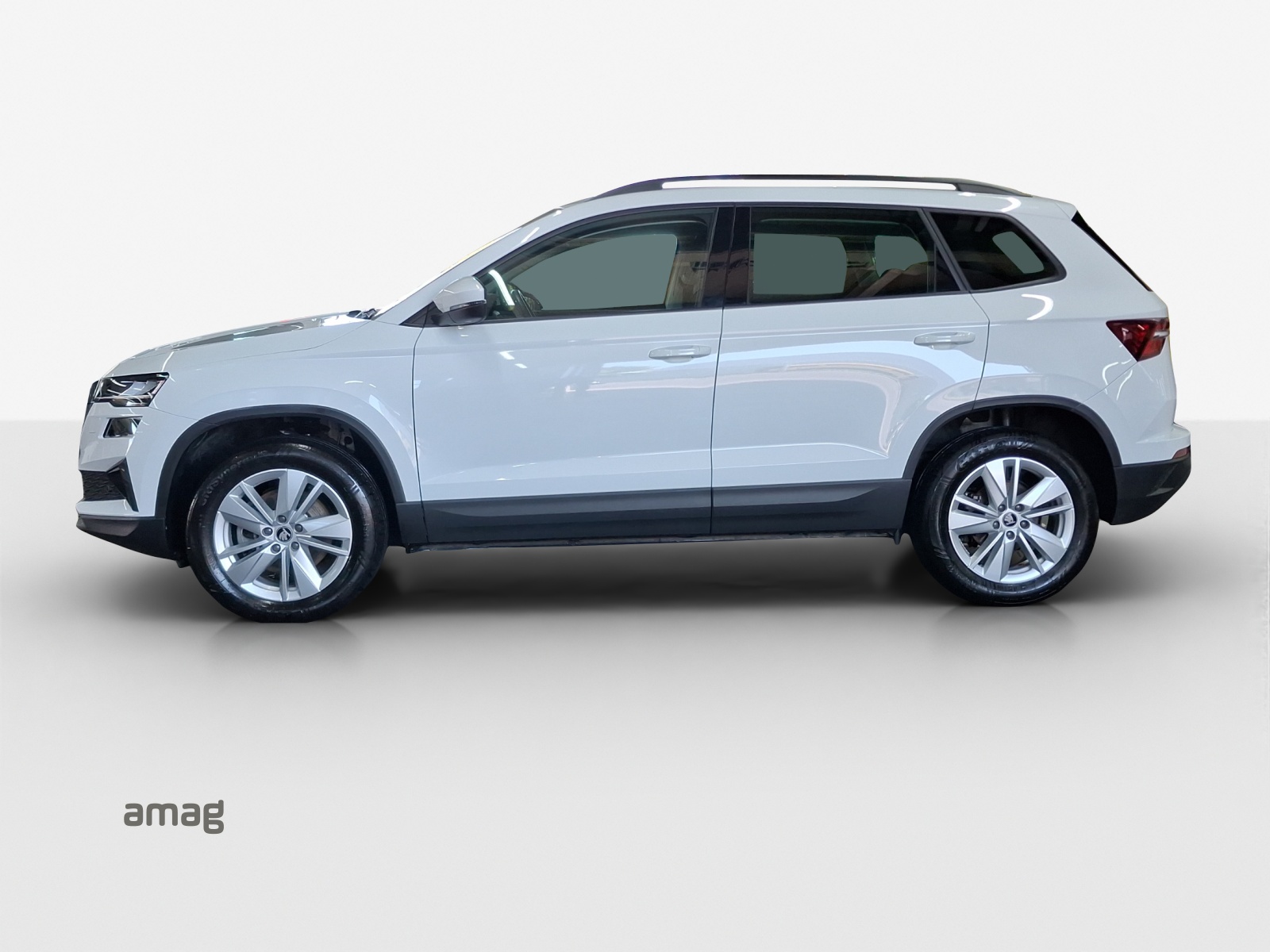 SKODA Karoq 2.0 TDI CR Selection 4x4 DSG-image-1