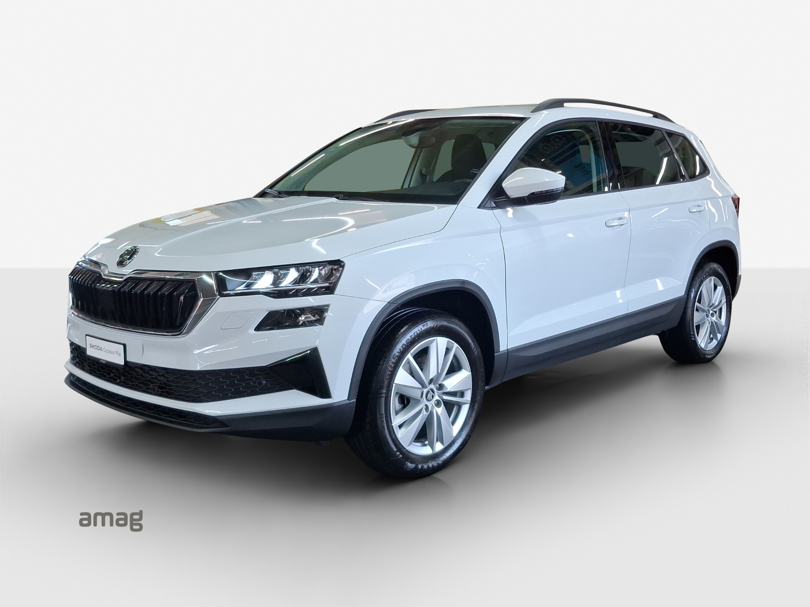 SKODA Karoq 2.0 TDI CR Selection 4x4 DSG-image-0