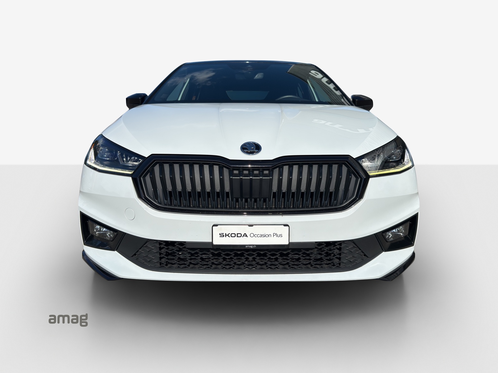 SKODA Fabia 1.0 TSI Monte Carlo-image-6