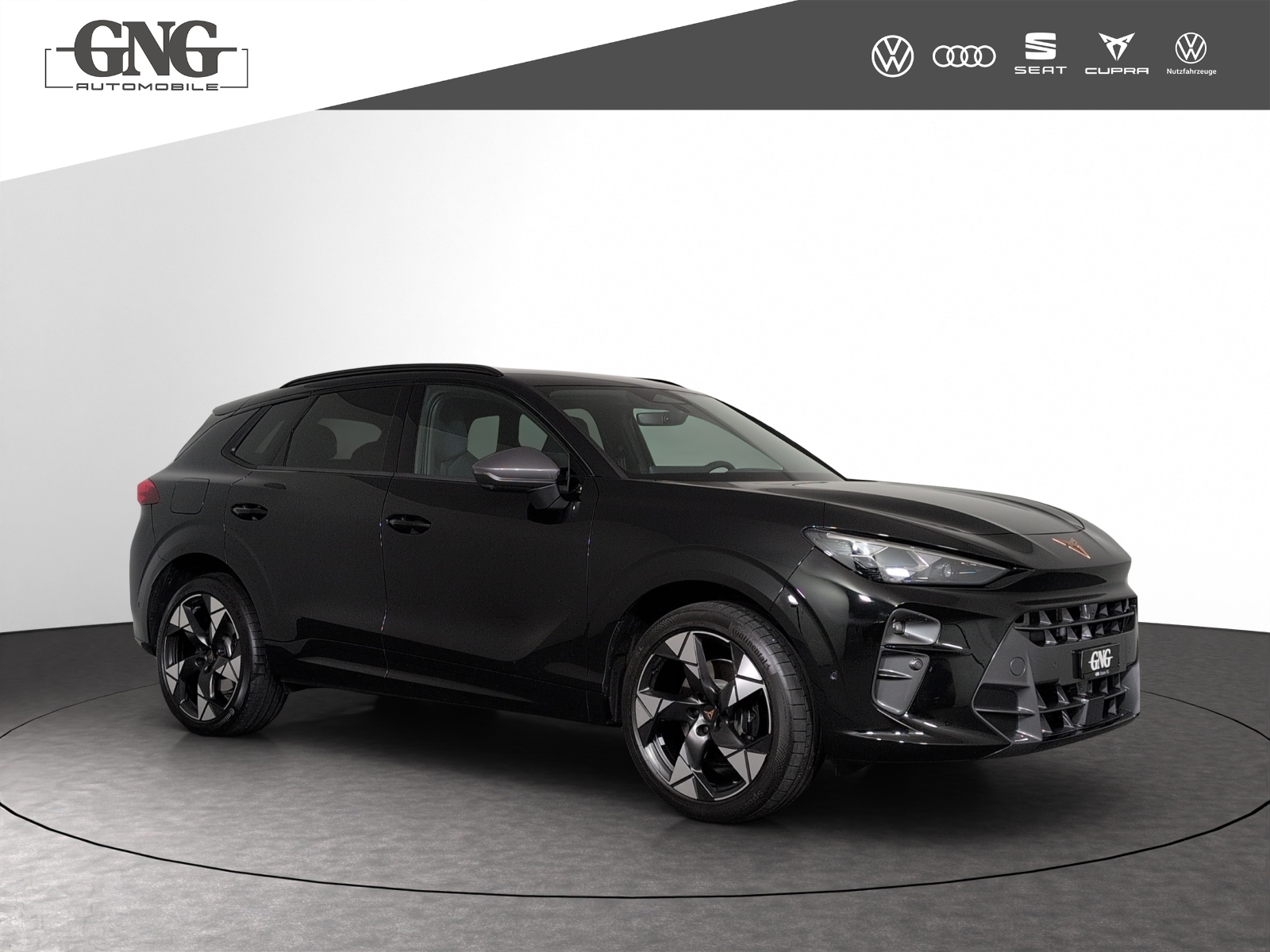 CUPRA Terramar 2.0 TSI DSG 4Drive VZ-image-3