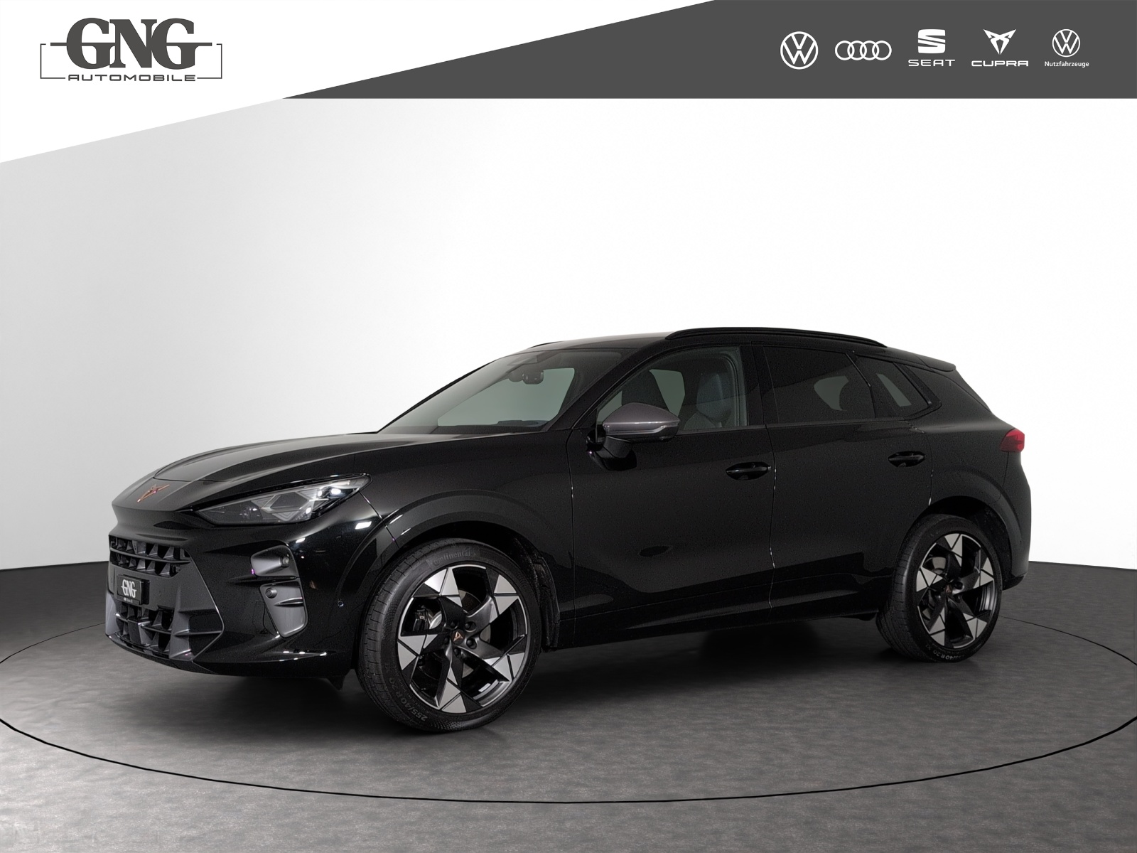 CUPRA Terramar 2.0 TSI DSG 4Drive VZ-image-0