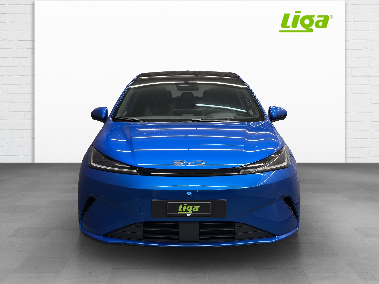 BYD Dolphin G DM-i Comfort-showroom-element-1