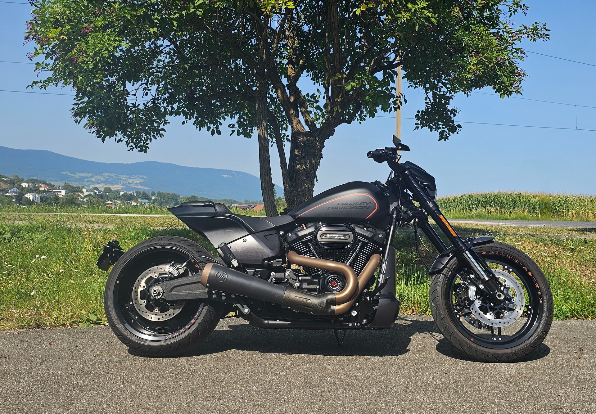 HARLEY-DAVIDSON FXDRS 114 ABS-showroom-element-3