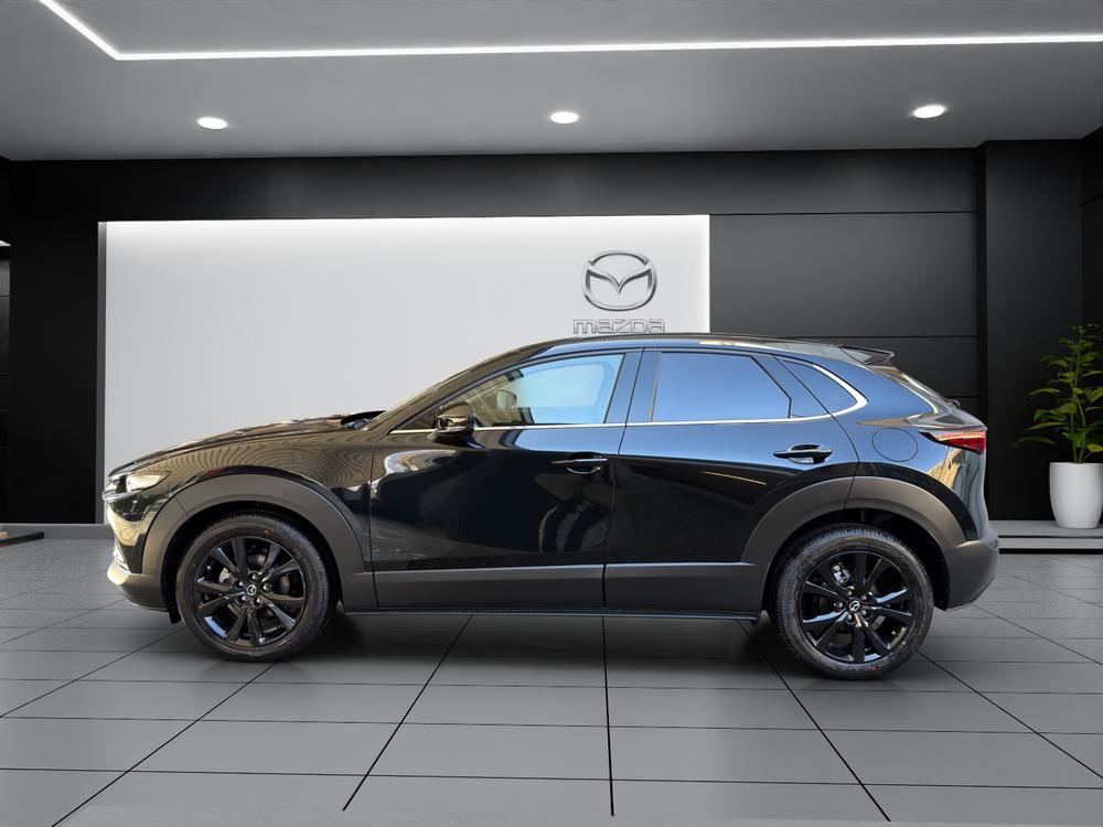 MAZDA CX-30 SKYACTIV-G 140 M Hybrid Homura FWD AT-image-3