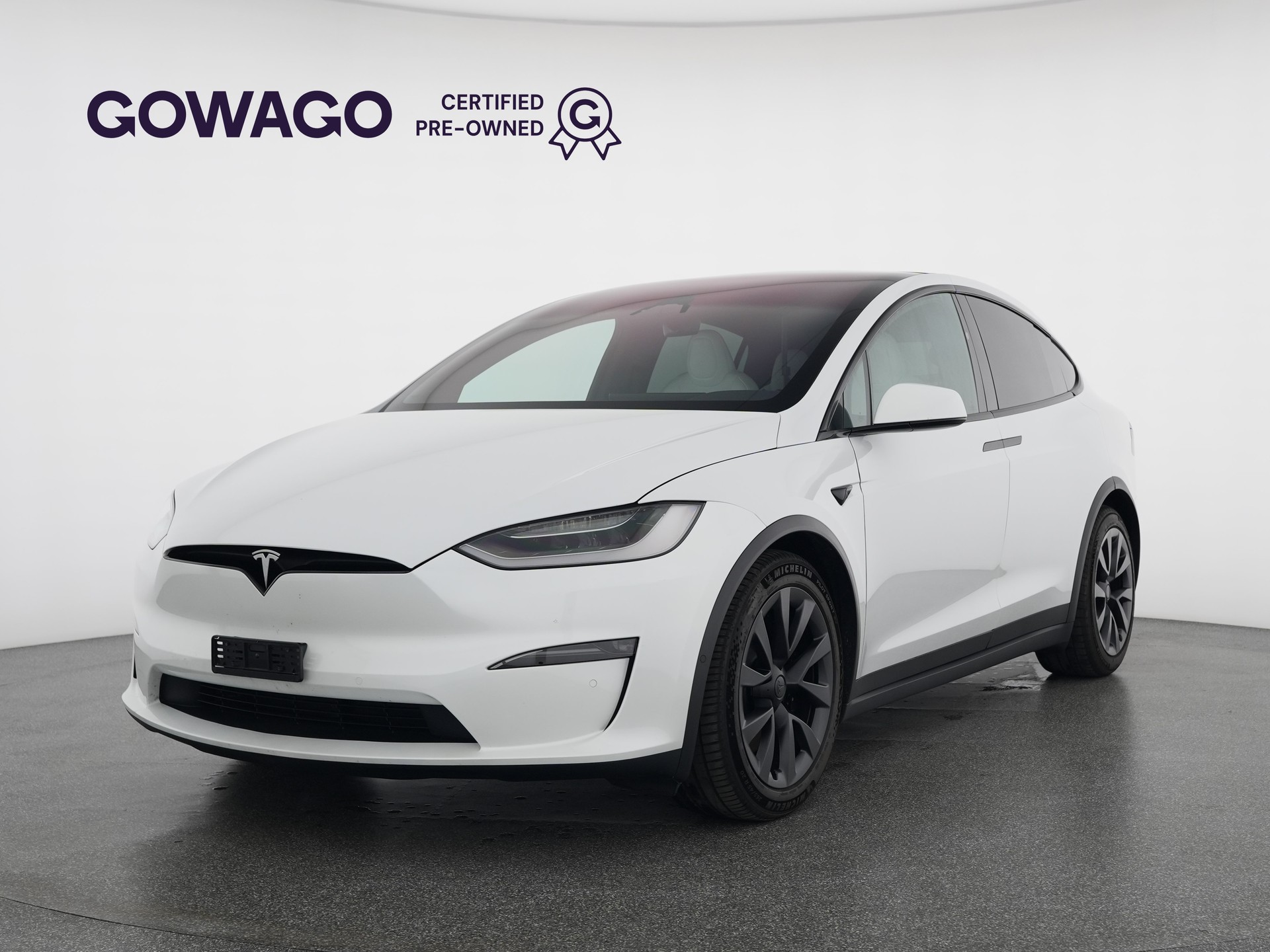 TESLA Model X Plaid-image-0