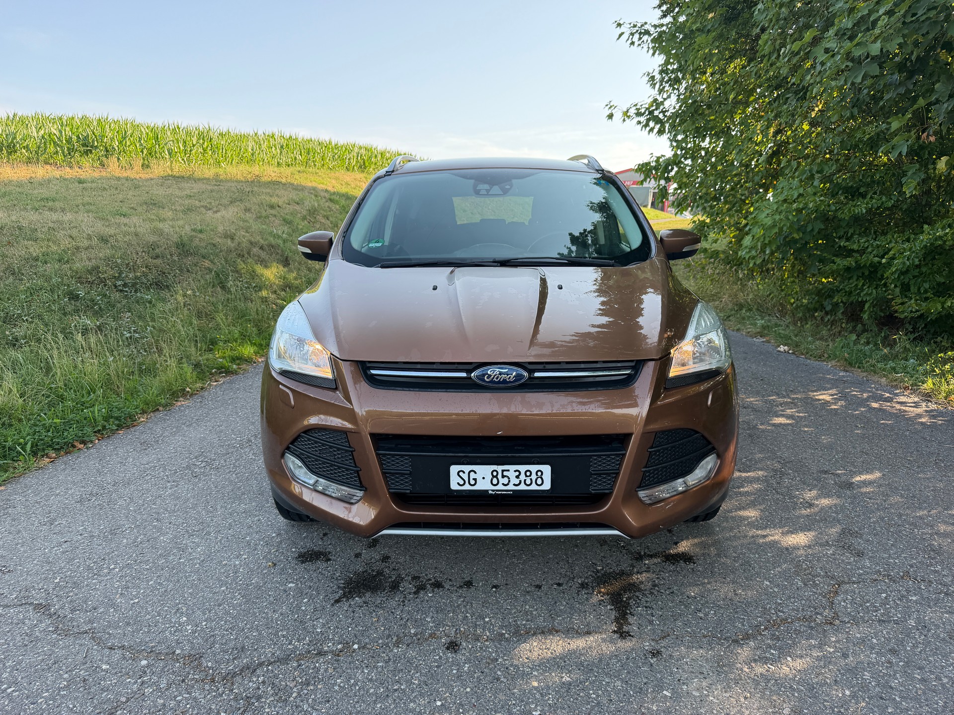 FORD Kuga 2.0 TDCi Carving 4WD PowerShift-image-0