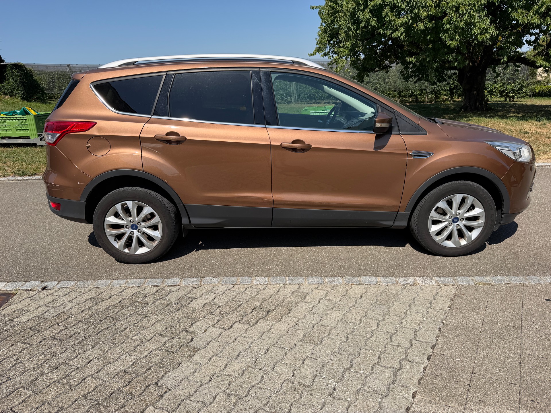 FORD Kuga 2.0 TDCi Carving 4WD PowerShift-image-8