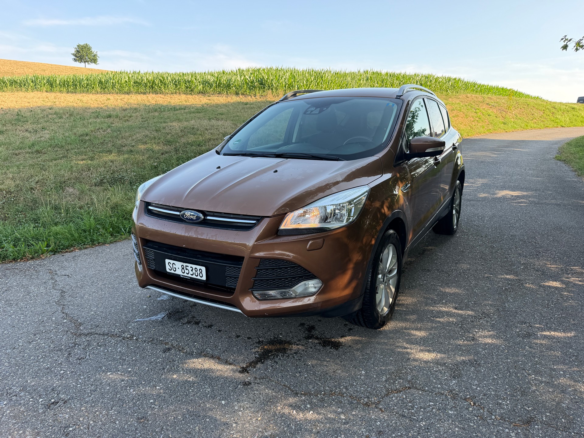 FORD Kuga 2.0 TDCi Carving 4WD PowerShift-image-1