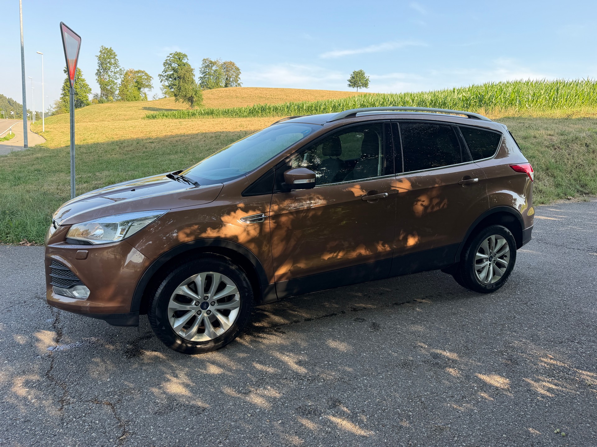 FORD Kuga 2.0 TDCi Carving 4WD PowerShift-image-3