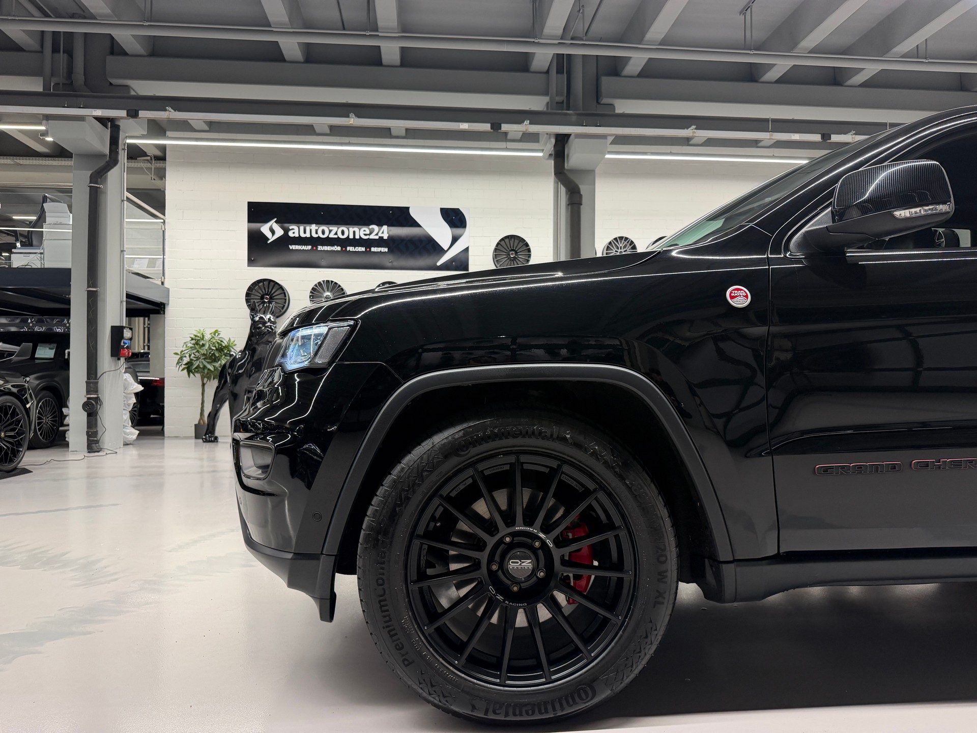 JEEP Grand Cherokee 3.0 CRD 250 Trailhawk-image-14