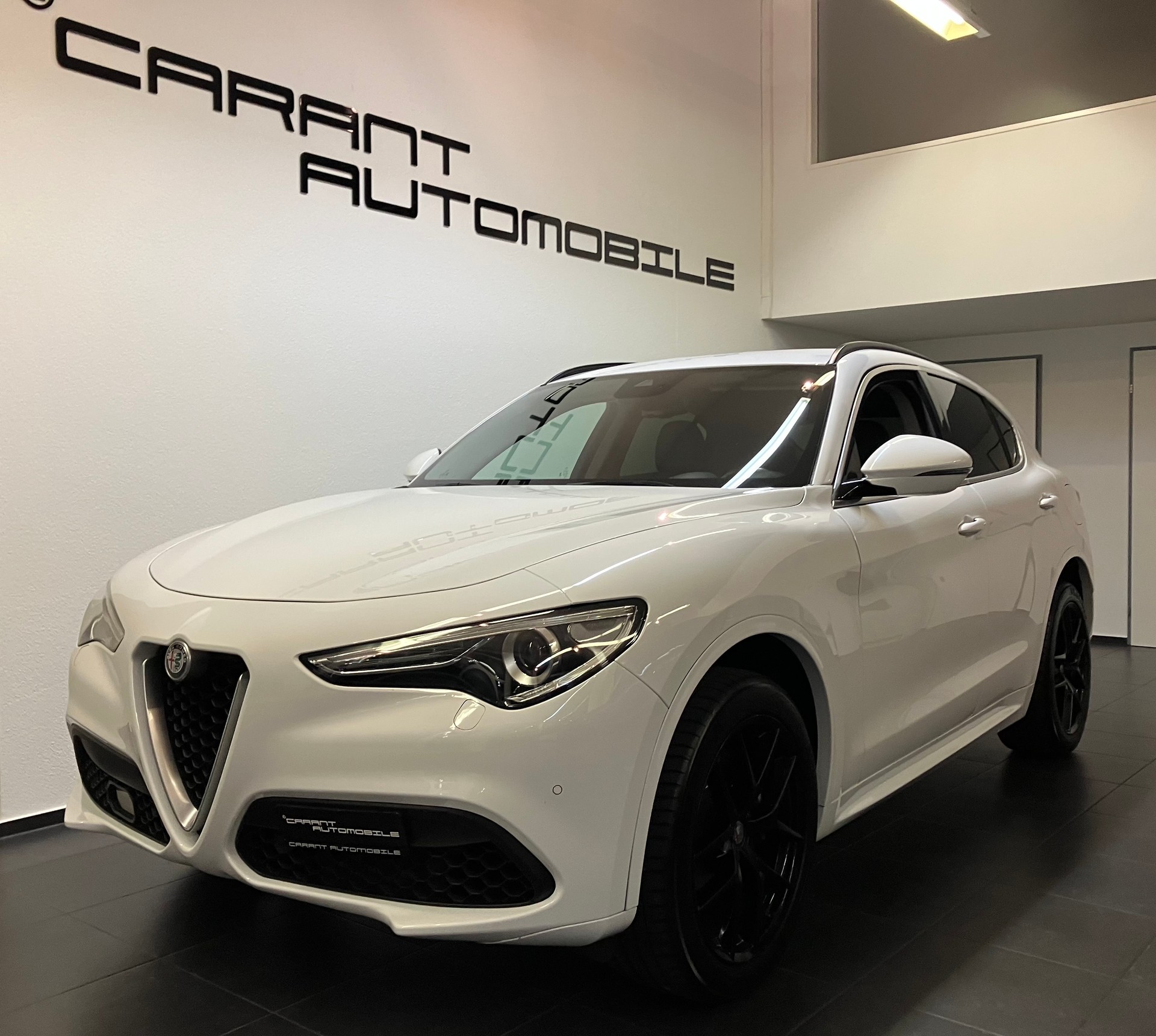 ALFA ROMEO Stelvio 2.0 First Edition Q4 Automatic-image-0
