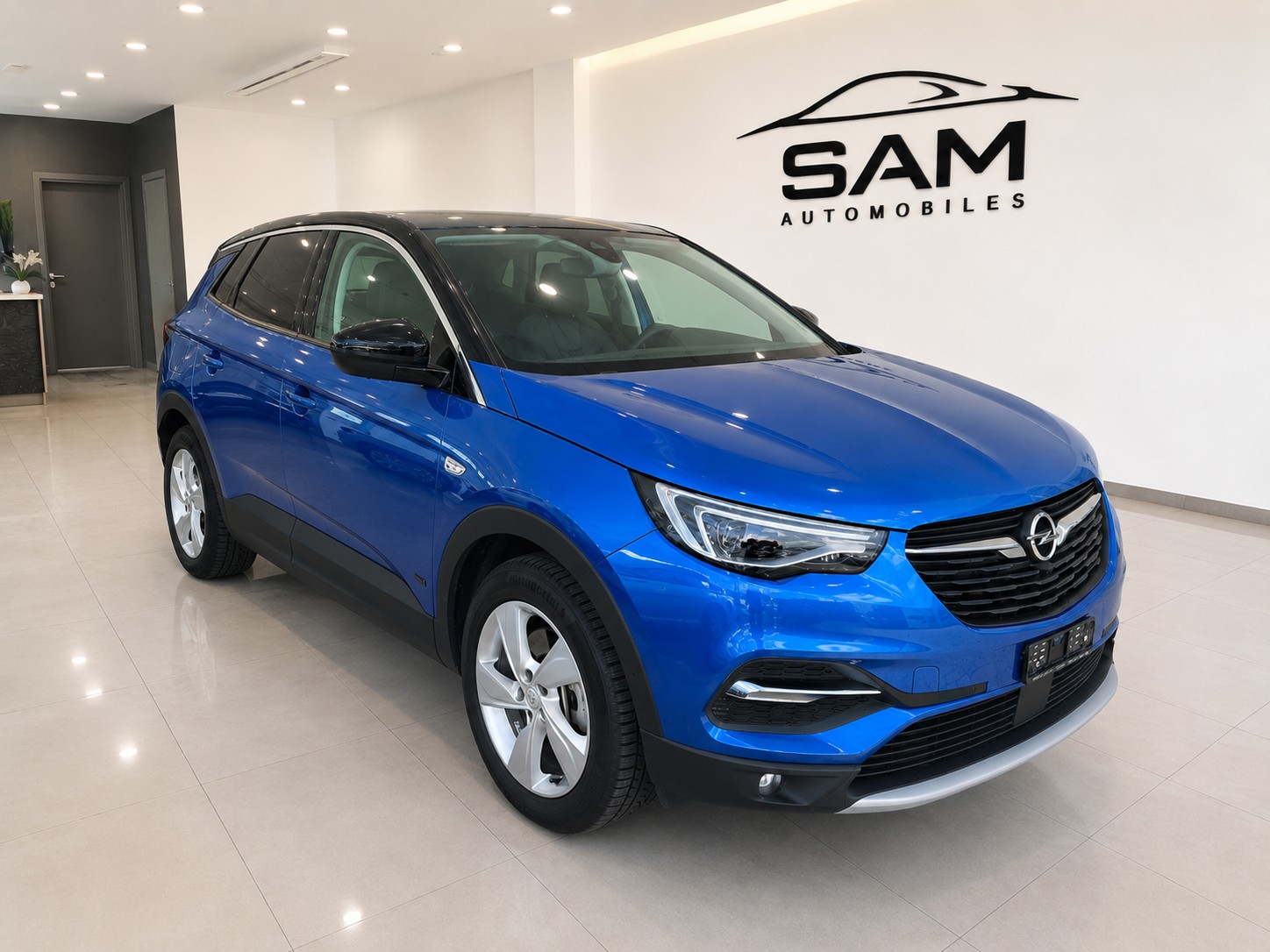 OPEL Grandland X 1.6 Hybrid4 Excellence Automatik-image-2