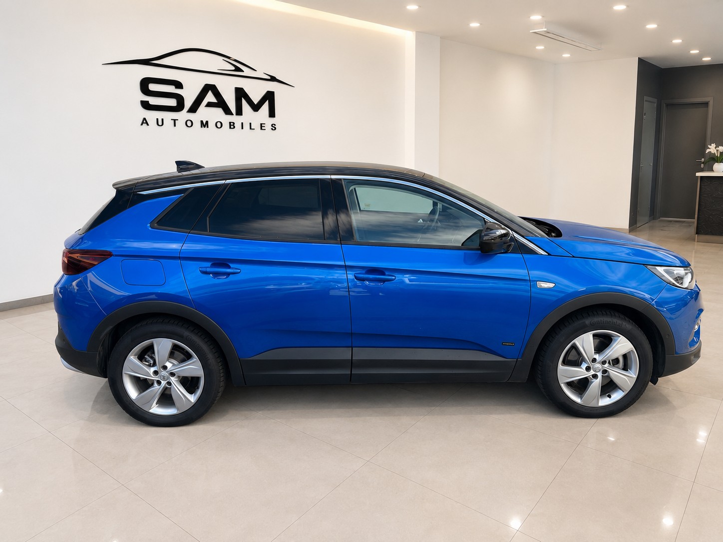 OPEL Grandland X 1.6 Hybrid4 Excellence Automatik-image-3