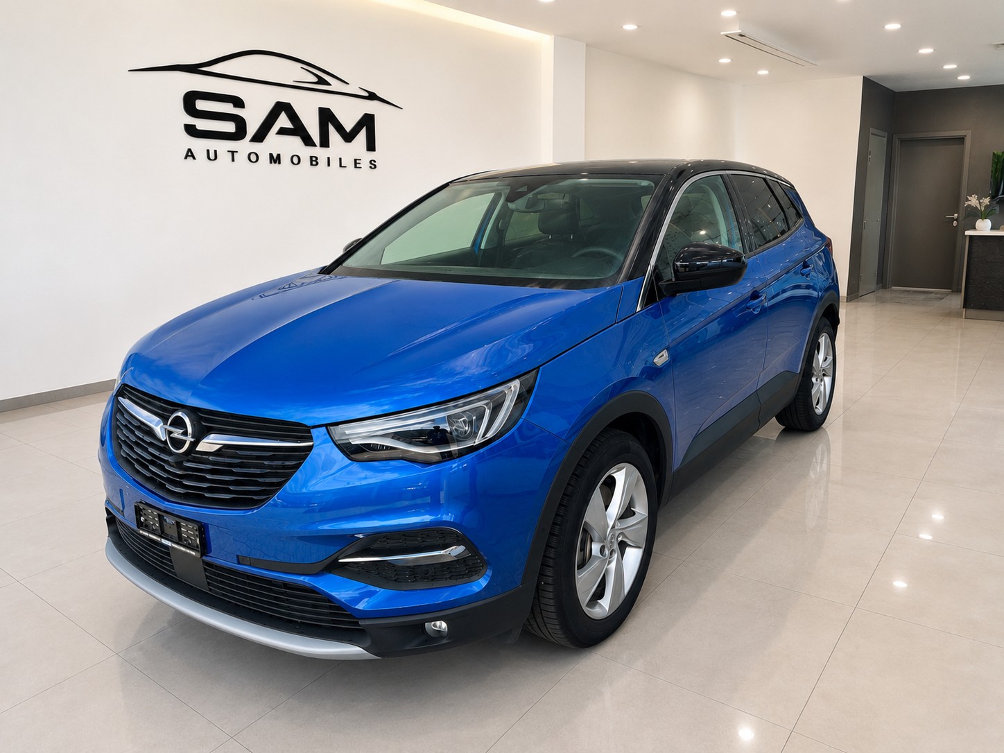 OPEL Grandland X 1.6 Hybrid4 Excellence Automatik-image-0