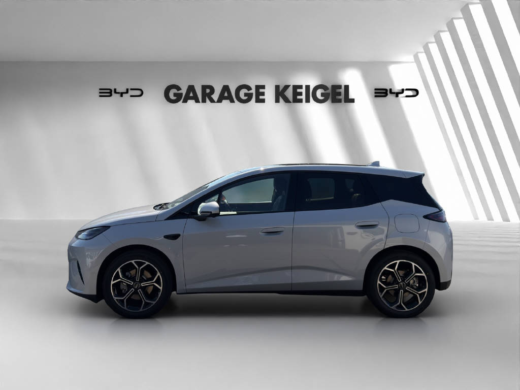 BYD Dolphin G DM-i Comfort-image-1
