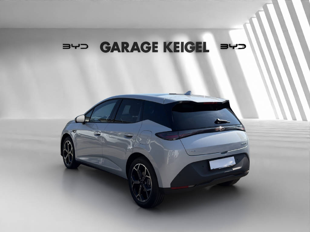 BYD Dolphin G DM-i Comfort-image-2