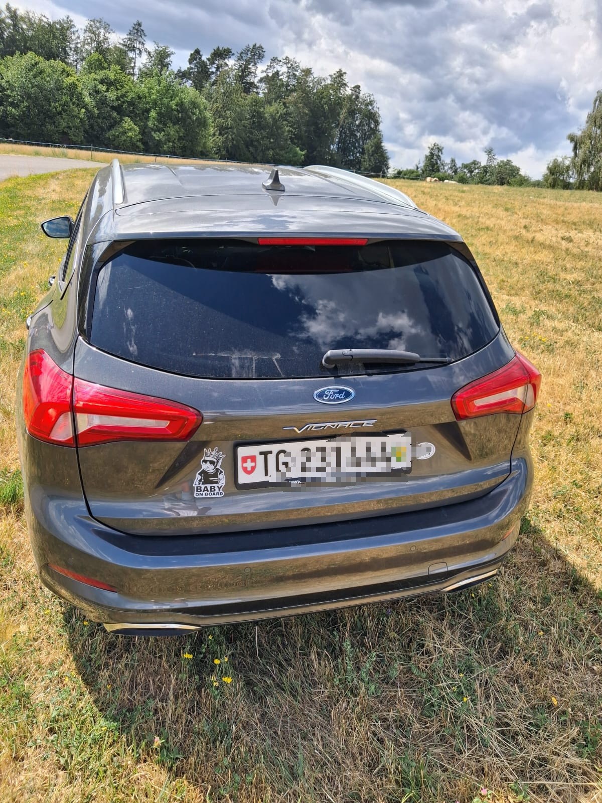 FORD 2.0 EcoBlue 150 Vignale-image-2